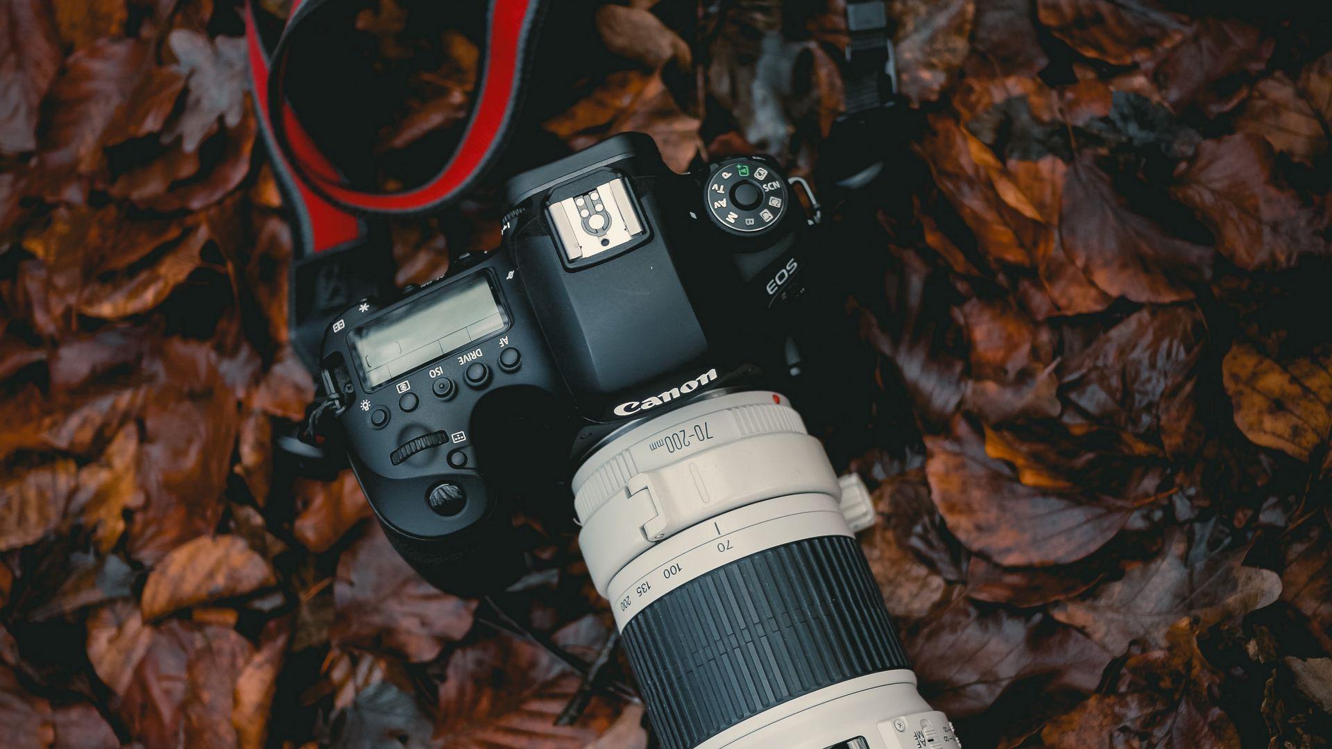 cameras